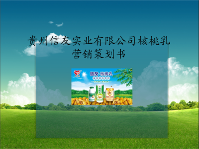 核桃乳市场营销策划方案